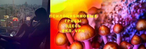 PSILOCYBIN Майский