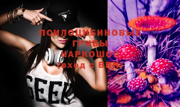 jwh Магас