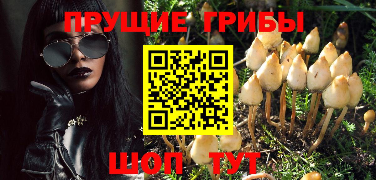 Галлюциногенные грибы Magic Shrooms Острогожск