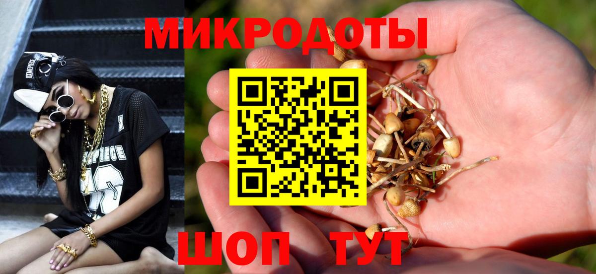 Галлюциногенные грибы Psilocybe  Острогожск  Псилоцибиновые грибы Psilocybine cubensis 