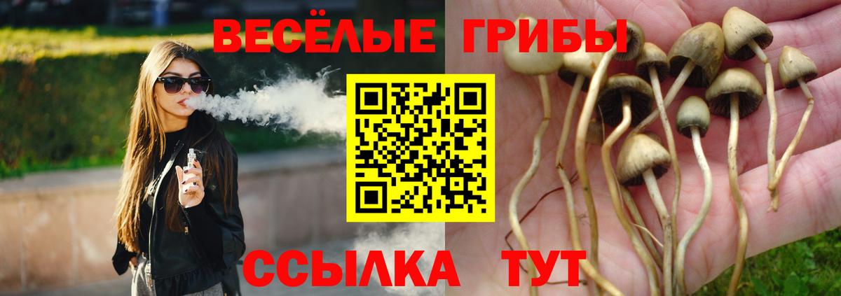 Псилоцибиновые грибы Psilocybe  Вход с VPN  наркошоп  Острогожск 
